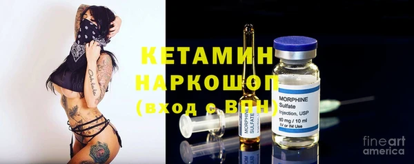 прущие грибы Семилуки