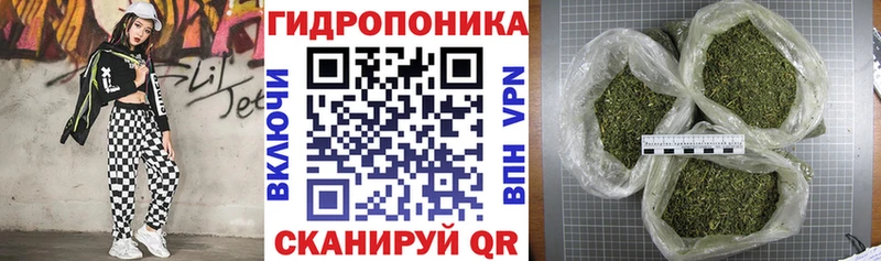 Конопля гибрид  Жуковка 